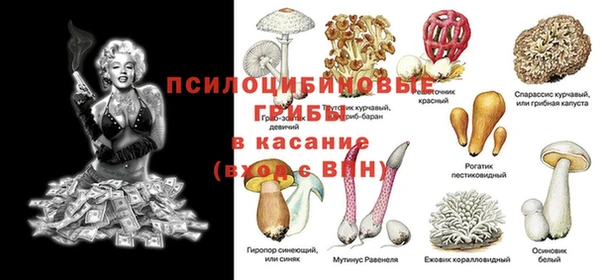 apvp Алексеевка