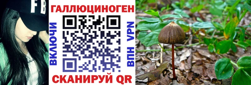 где можно купить наркотик  Невьянск  Псилоцибиновые грибы Psilocybe 